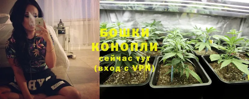 Бошки Шишки LSD WEED  где продают наркотики  Бронницы 